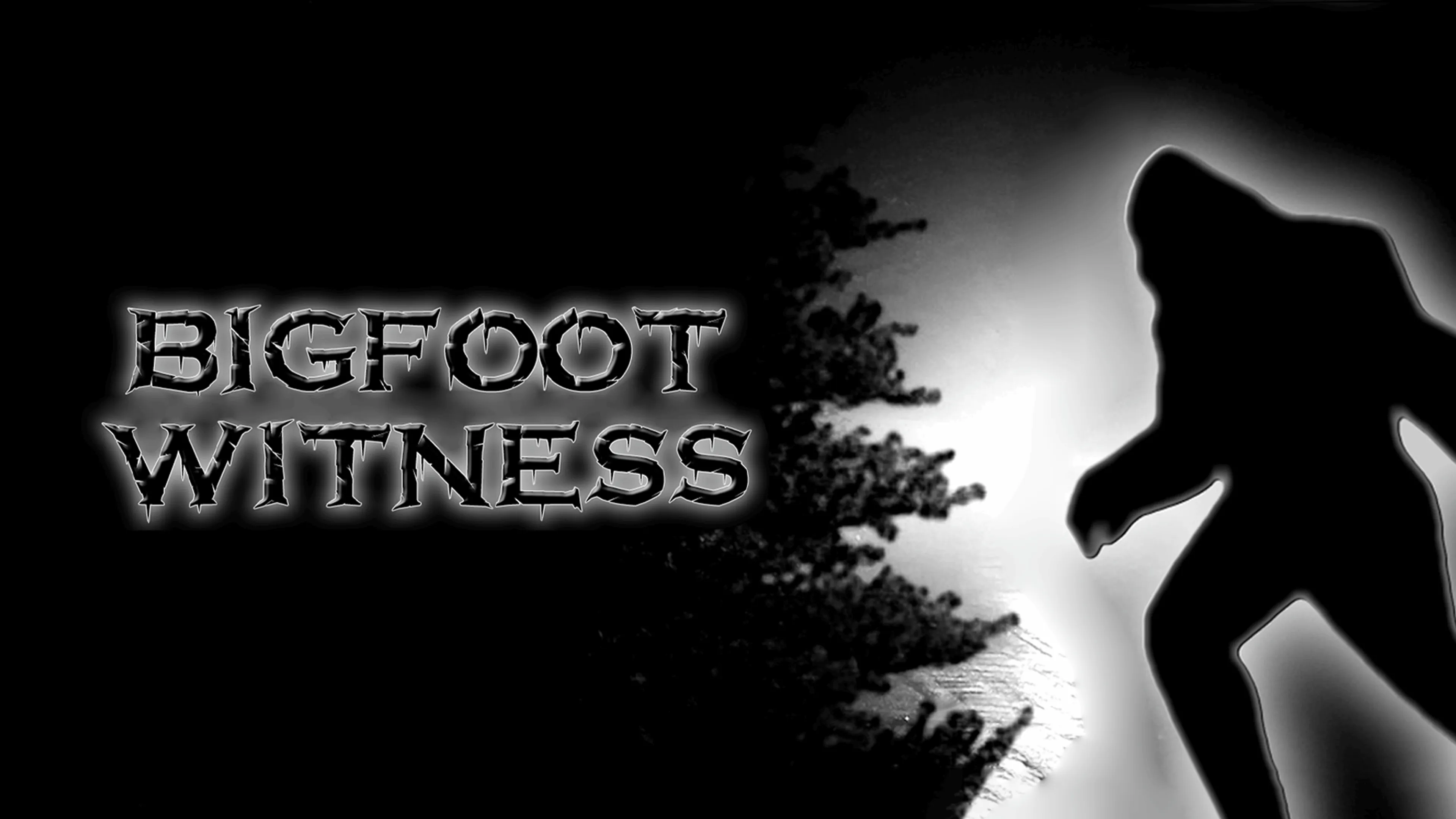 Bigfoot Witness poster